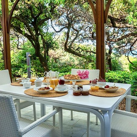 Appartamenti & Villa Il Delfinetto San Vincenzo Extérieur photo